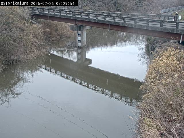 最新監視カメラ画像