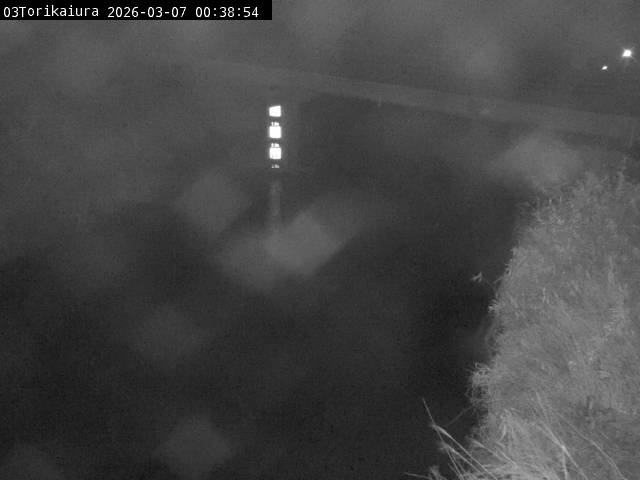 最新監視カメラ画像