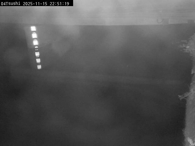 最新監視カメラ画像