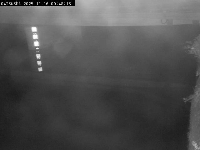 最新監視カメラ画像