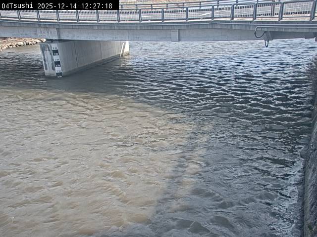 最新監視カメラ画像