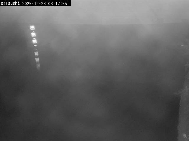 最新監視カメラ画像