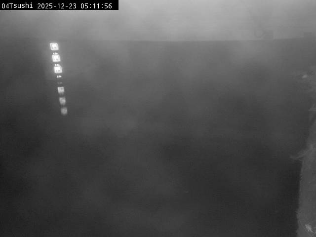 最新監視カメラ画像