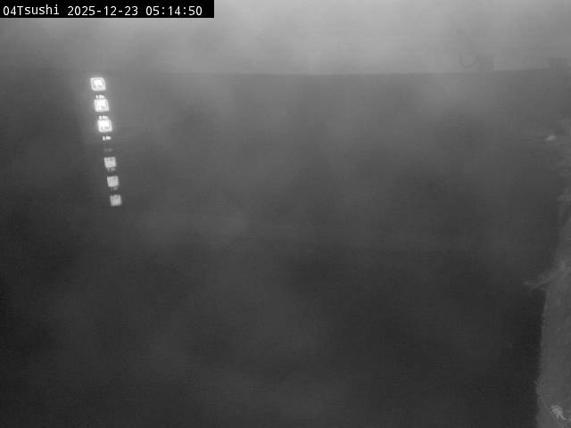 最新監視カメラ画像