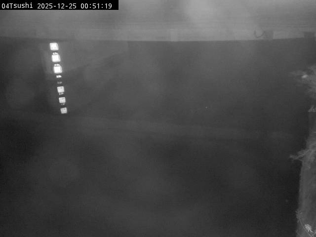 最新監視カメラ画像