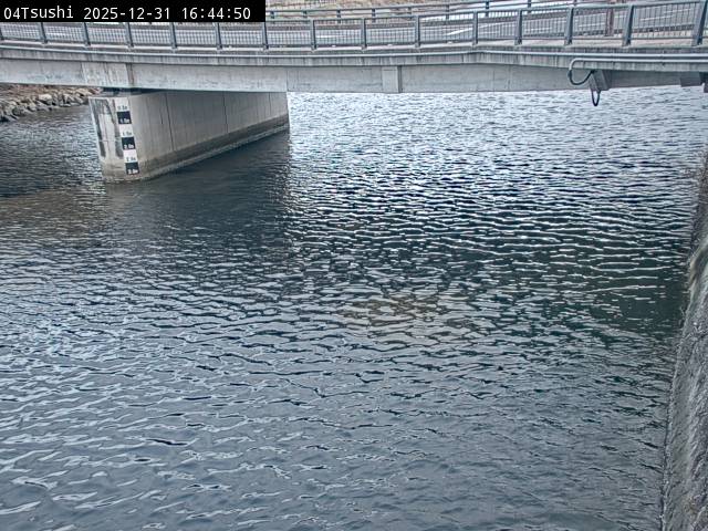 最新監視カメラ画像