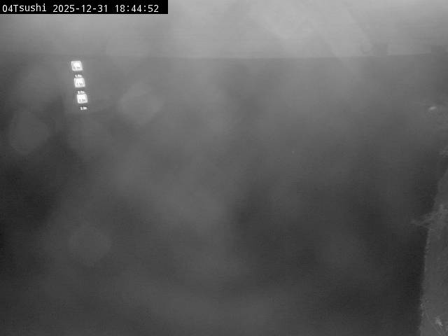 最新監視カメラ画像