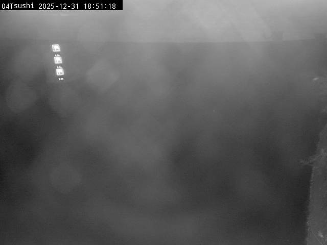 最新監視カメラ画像