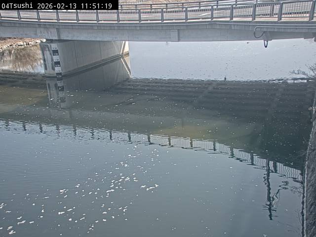 最新監視カメラ画像