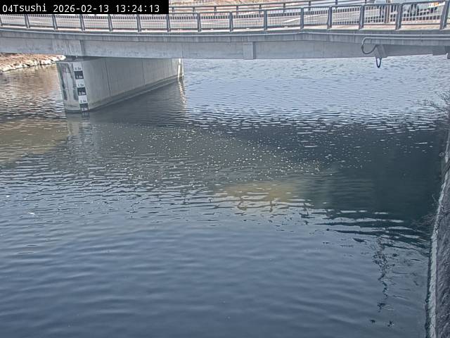 最新監視カメラ画像