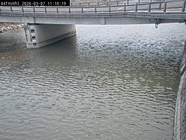 最新監視カメラ画像