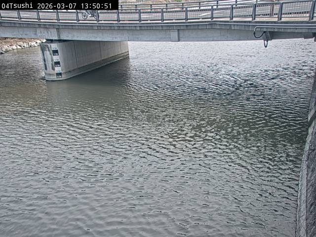 最新監視カメラ画像