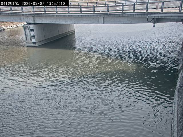 最新監視カメラ画像