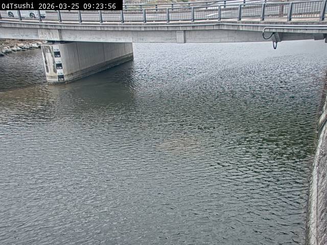 最新監視カメラ画像