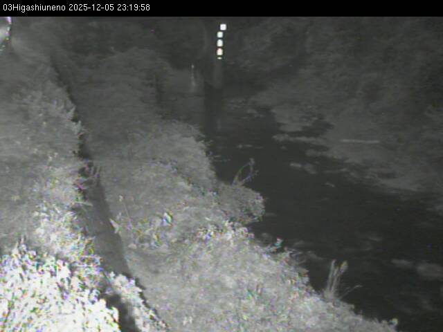 最新監視カメラ画像