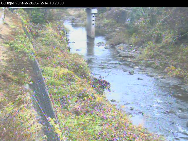 最新監視カメラ画像