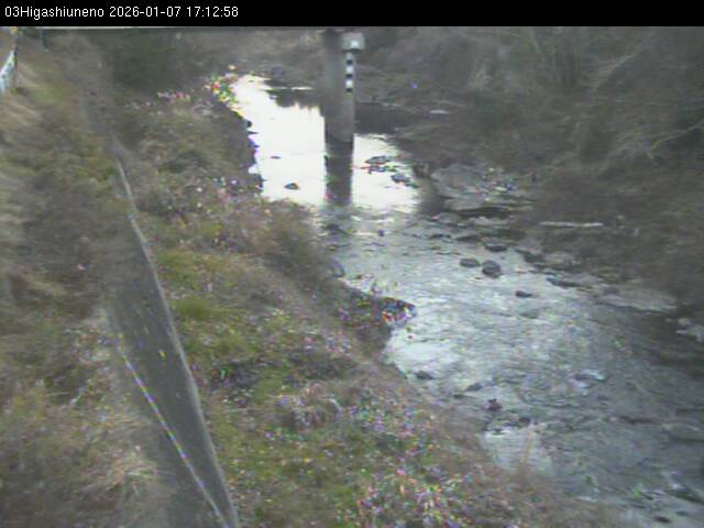 最新監視カメラ画像