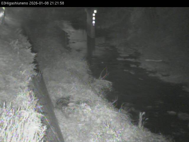 最新監視カメラ画像