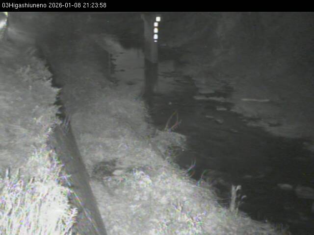 最新監視カメラ画像