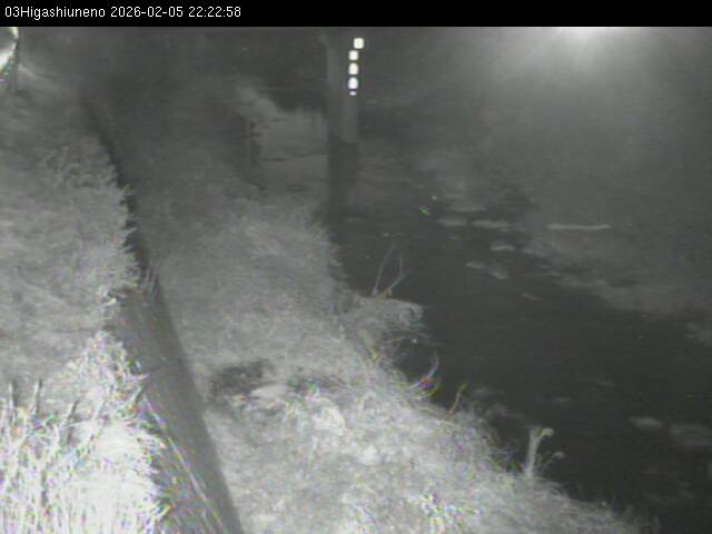 最新監視カメラ画像