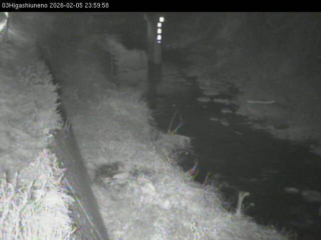 最新監視カメラ画像