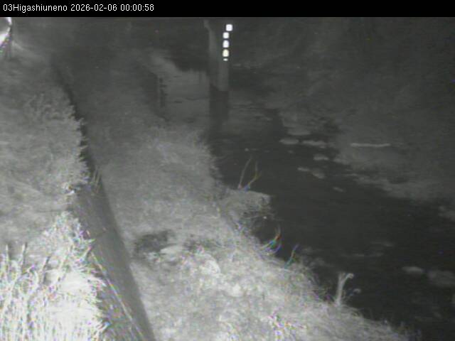 最新監視カメラ画像