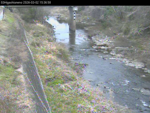 最新監視カメラ画像