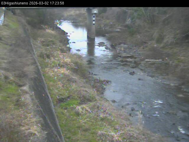 最新監視カメラ画像