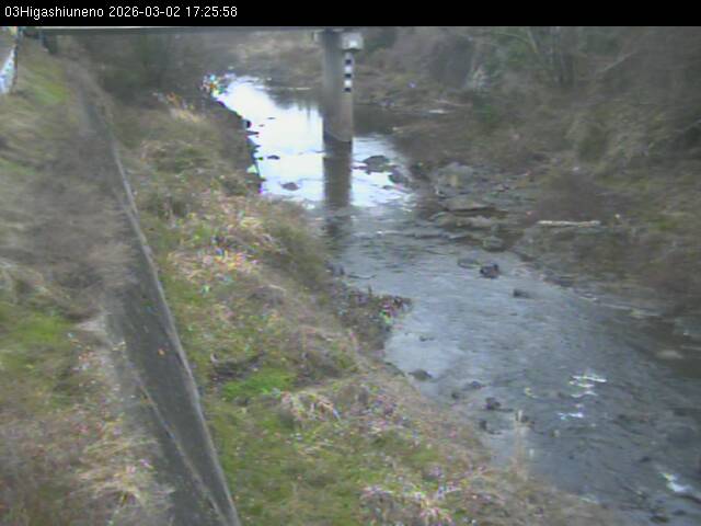 最新監視カメラ画像