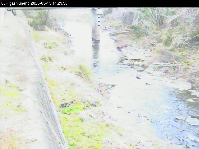 最新監視カメラ画像