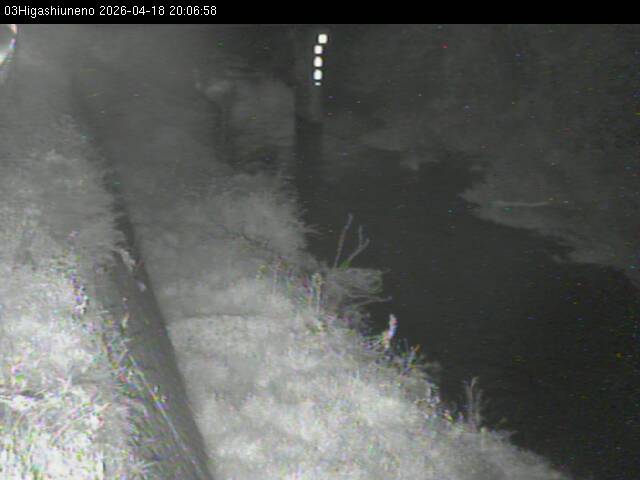 最新監視カメラ画像