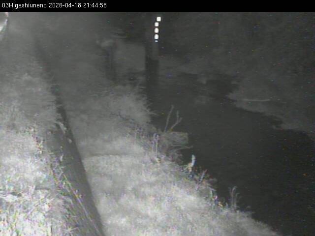 最新監視カメラ画像