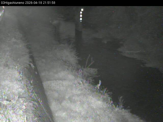 最新監視カメラ画像