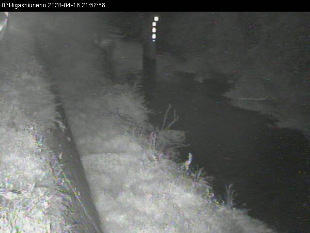 最新監視カメラ画像