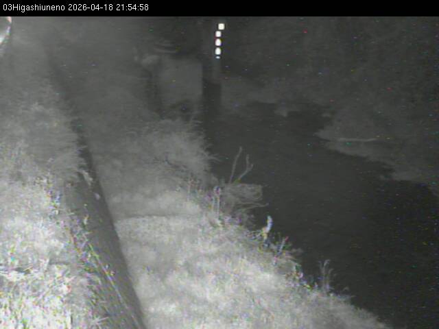 最新監視カメラ画像