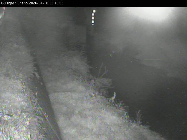 最新監視カメラ画像