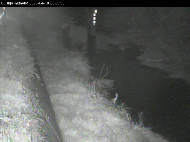 最新監視カメラ画像