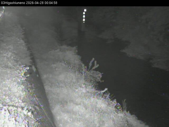 最新監視カメラ画像