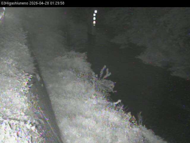 最新監視カメラ画像