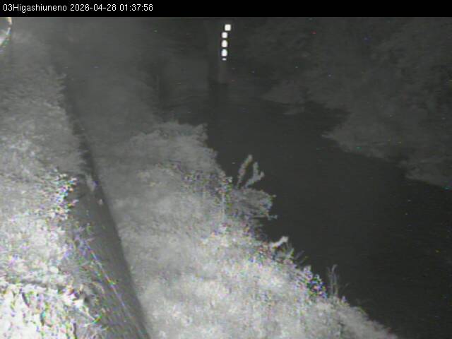 最新監視カメラ画像