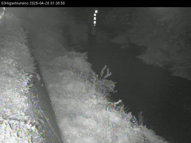 最新監視カメラ画像