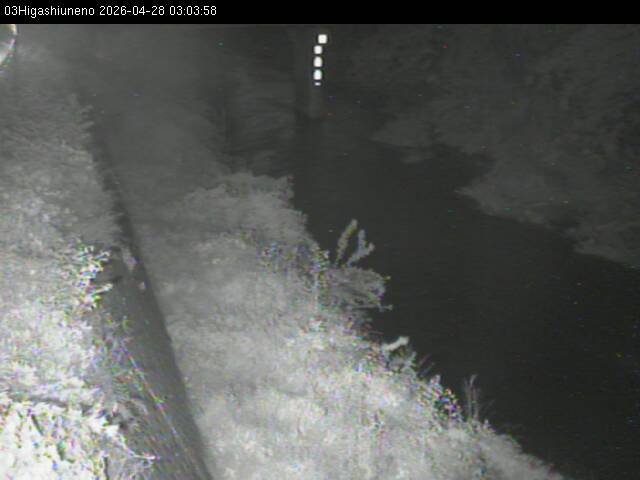 最新監視カメラ画像