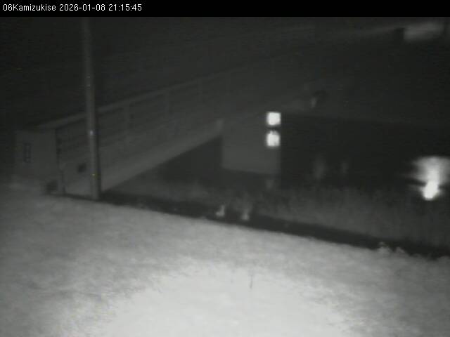 最新監視カメラ画像