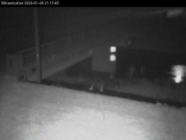 最新監視カメラ画像