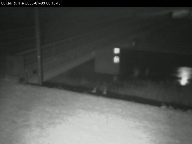 最新監視カメラ画像