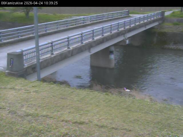 最新監視カメラ画像