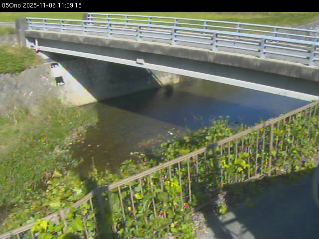 最新監視カメラ画像