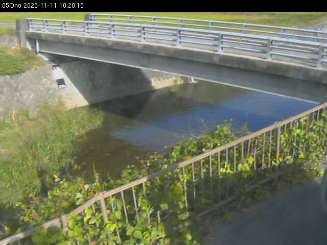 最新監視カメラ画像