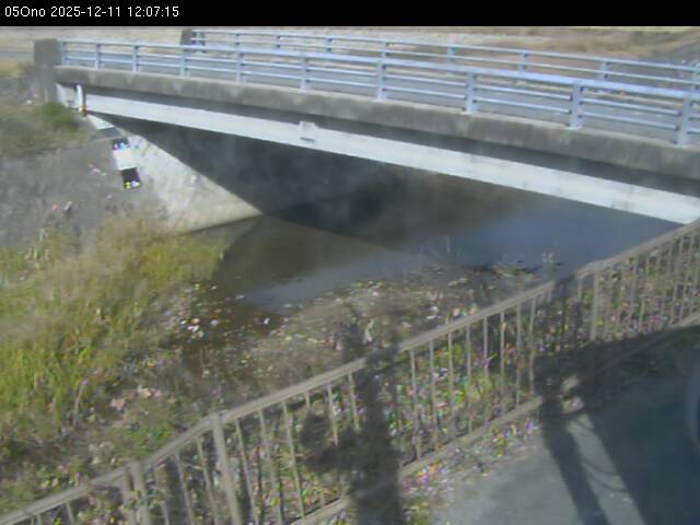 最新監視カメラ画像