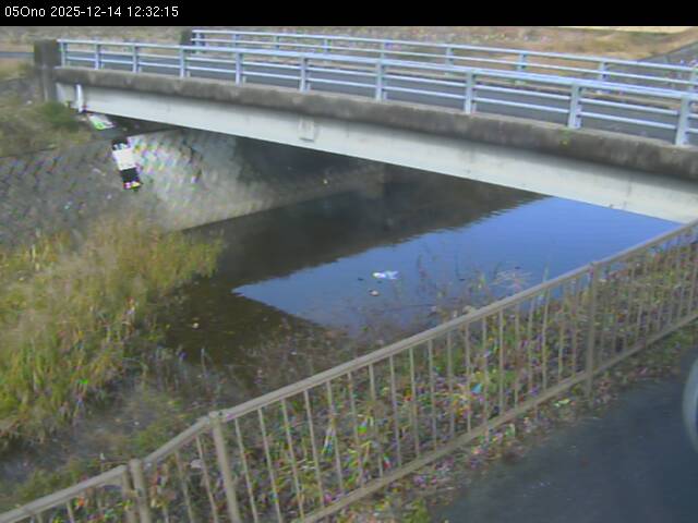 最新監視カメラ画像